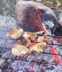 Cookout